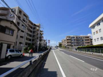 敷地北側の前面道路。すぐ西側を夙川が流れています。