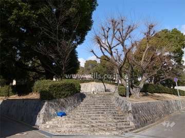 すぐ北側にある菊谷公園