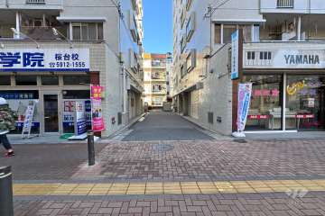 敷地の東側前面道路（南側から）