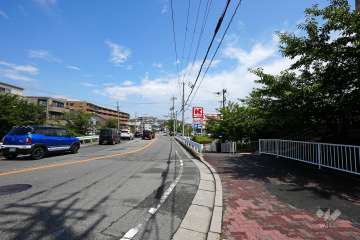 敷地北側の道路はみたらし通りで、桜並木になっています。