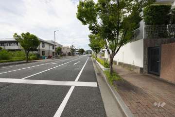 敷地西側の前面道路（南側から）