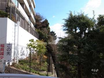 敷地の南側は一段低くなっています。