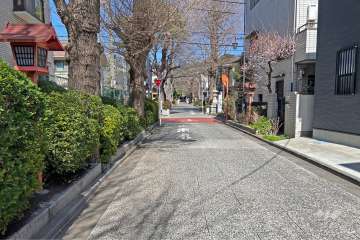 敷地の東側前面道路（南側から）