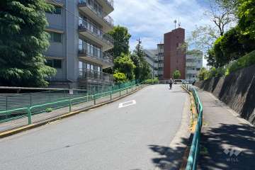 敷地の西側前面道路（北側から）