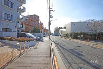 敷地西側の前面道路（北側から）