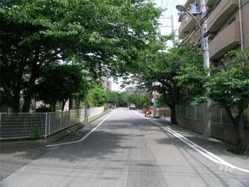 街路樹がきれいな敷地西側の通り