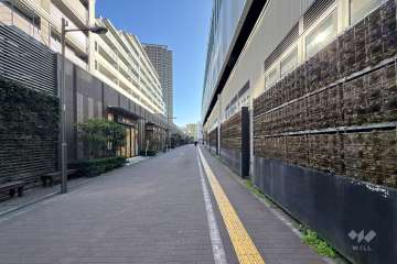 敷地南側の前面道路