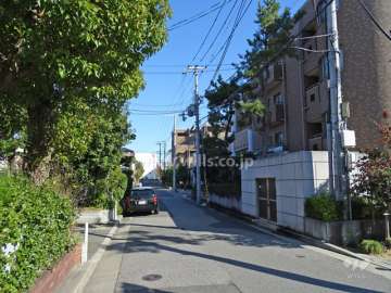 敷地北側の前面道路（西側から）