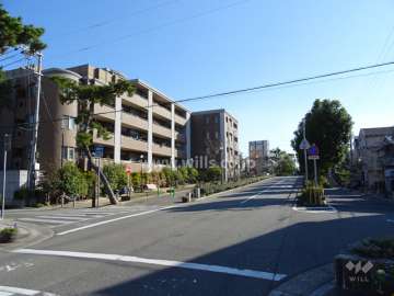 敷地西側の前面道路（北側から）