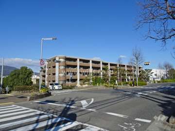 セレッソコート芦屋中央公園の遠景