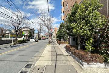 敷地の西側前面道路（南側から）