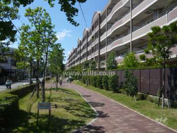 南側の前面道路