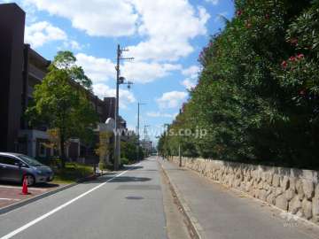北側の前面道路