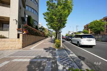 敷地南側の前面道路（西側から）