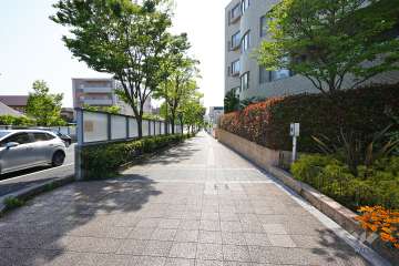 敷地南側の前面道路（東側から）