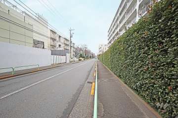 敷地南側の前面道路（東側から）