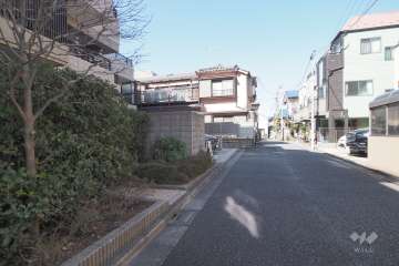 敷地東側の前面道路（南側から）