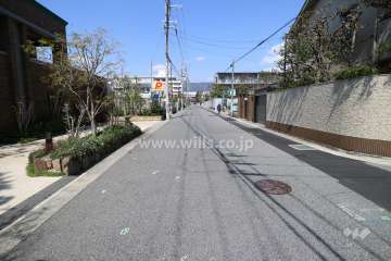 敷地東側の前面道路(南側から)