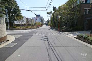 敷地東側の前面道路(北側から)