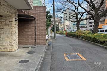 敷地の南側前面道路（西側から）