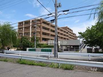 敷地の西側には川が流れ、川沿いの柳がきれいです。