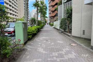 敷地の北東側前面道路（北西側から）