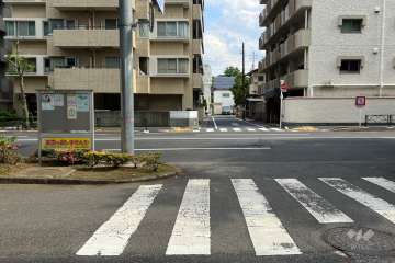 敷地の西側前面道路（北側から）