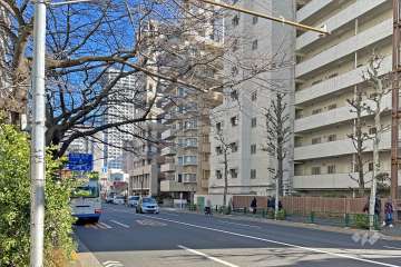 敷地の北側前面道路は千川通りです（西側から）。