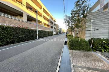 敷地北側の前面道路（西側から）