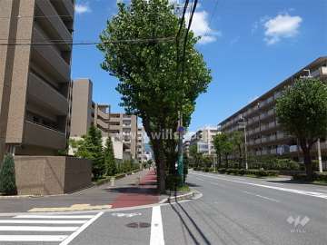敷地北側の4車線のバス通り。街路樹がきれいで、歩道も広く取られています。