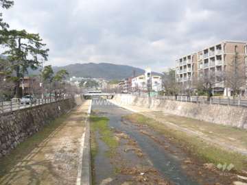すぐ西側を流れる芦屋川