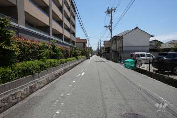 敷地南側の前面道路（西側から）