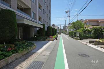 敷地西側の前面道路（北側から）