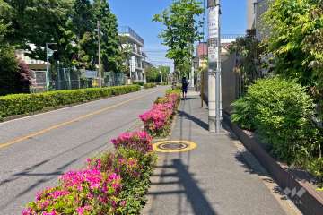 敷地北西側の前面道路（南西側から）