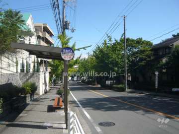 前面道路は銀杏並木がきれいです。