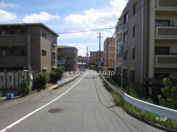 敷地東側の前面道路（北側から）