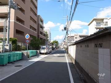 敷地東側の前面道路。道幅は狭めですが、静かな住環境。