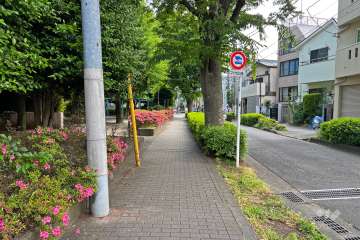 敷地の北西側前面道路（南西側から）