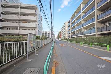 敷地北側の前面道路（東側から）
