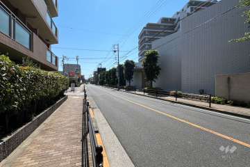 敷地の北側前面道路（西側から）