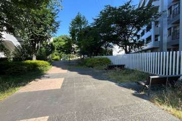 敷地の西側遊歩道（南側から）