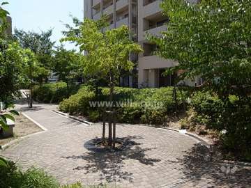 敷地東側には道を挟んで、小さな公園があります。
