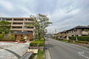 敷地北東側の前面道路（南東から）