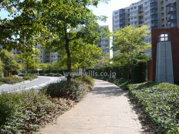 前面道路は街路樹のきれいな通りです。