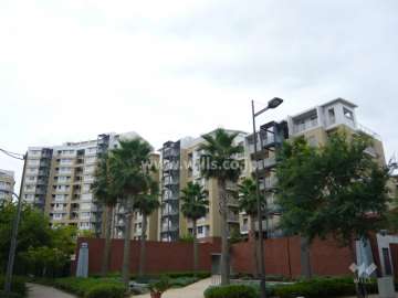 西宮マリナパークシティ港のまちハーバーヴィラの外観（北側から）