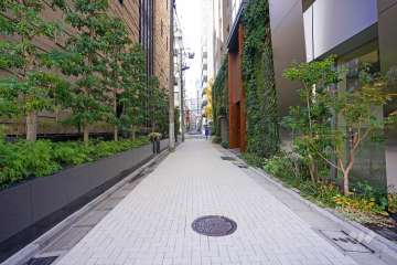 敷地東側の前面道路（北側から）