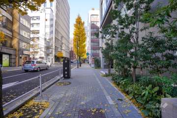 敷地南側の前面道路（東側から）
