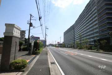 敷地北西側の前面道路。国道171号線です。