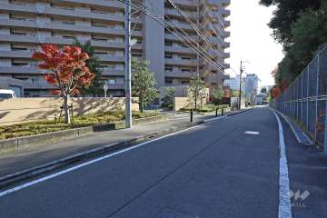 敷地西側の前面道路（北側から）