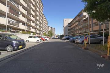 敷地南東側の前面道路（南西側から）